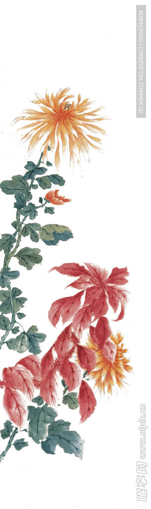 水墨菊花