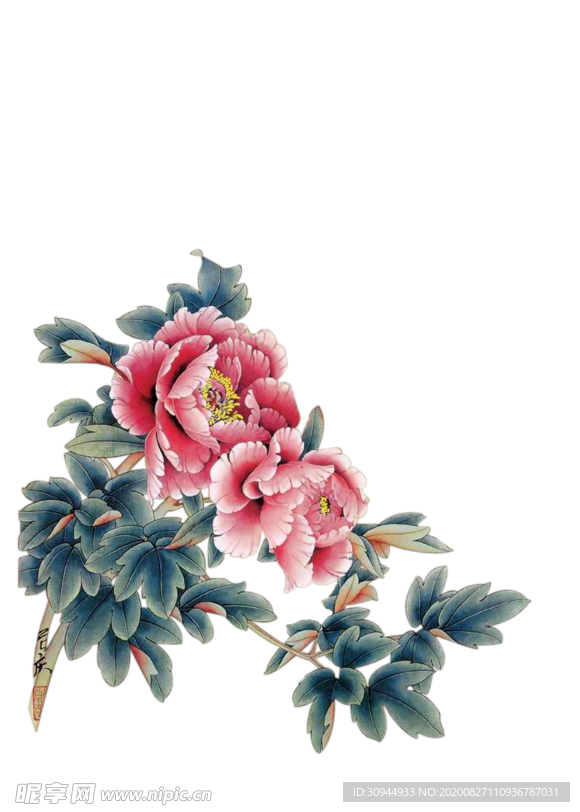 水墨菊花