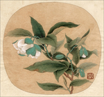 中式古典花鸟工笔画