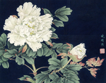 中式古典花鸟工笔画