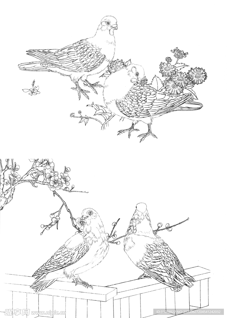 鸟雀绘画线稿图