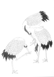 鸟雀绘画线稿图