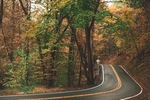 林间公路