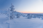 雪原