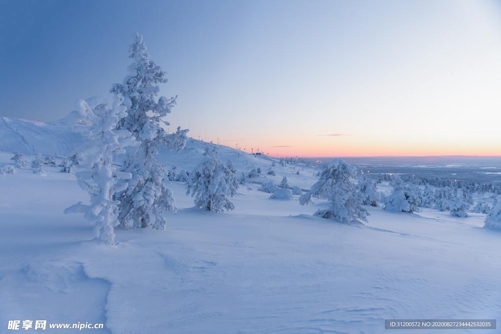 雪原