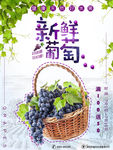 水果海报
