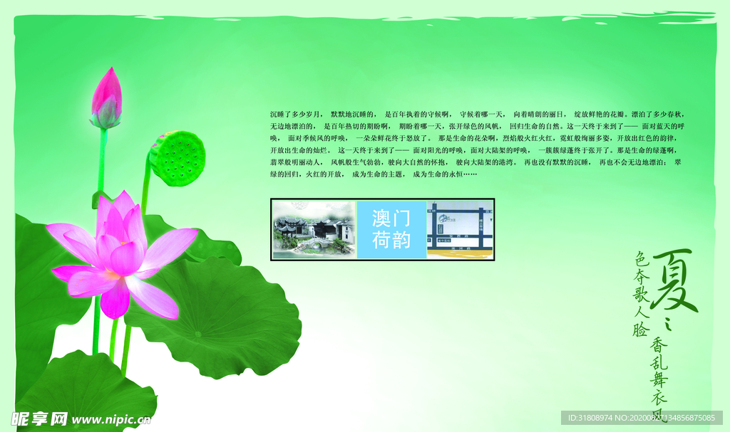 创意唯美淡绿荷花品质生活海报