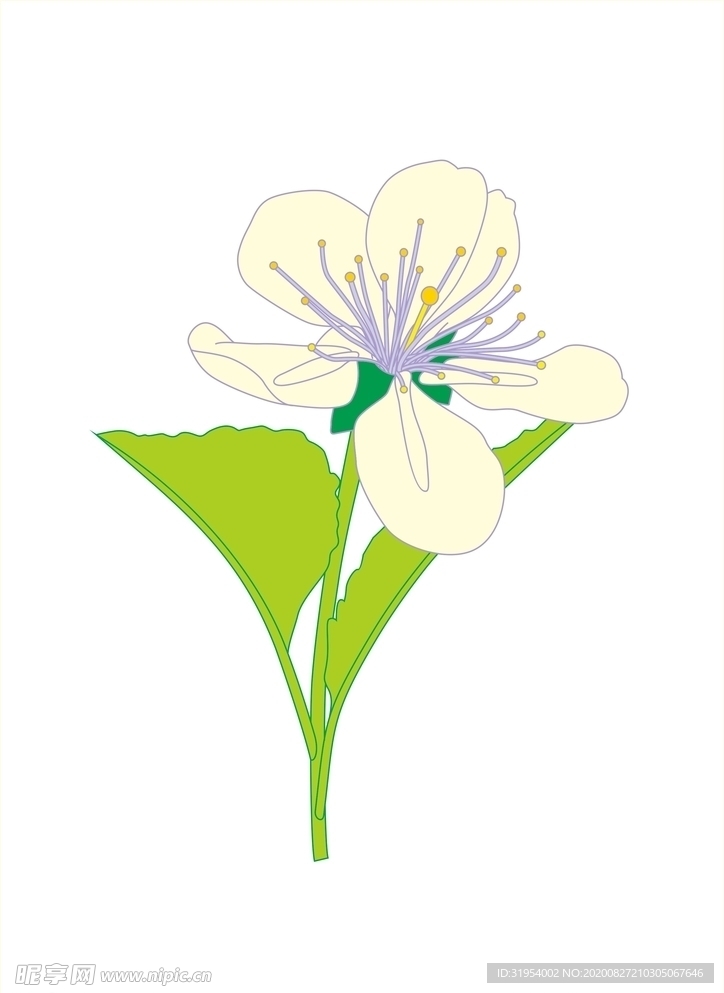 花