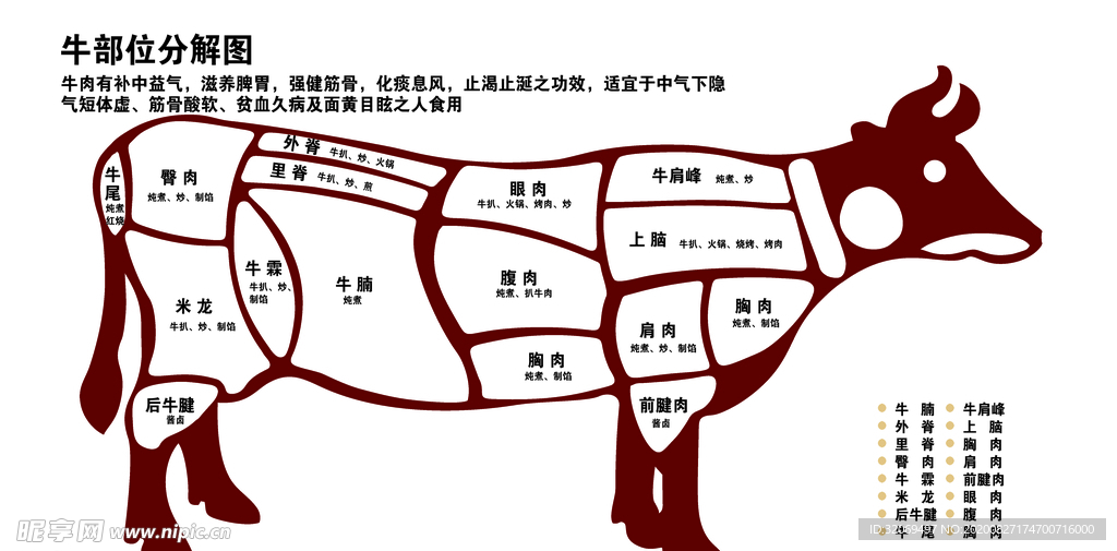 牛  部位风解图