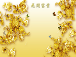 花开富贵金菊花