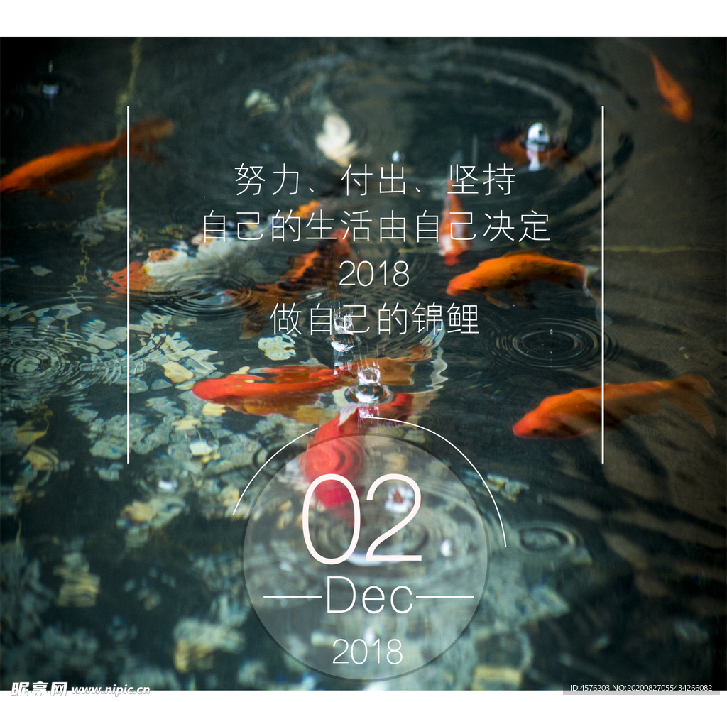 你好12月