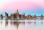 风景