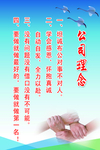 公司理念