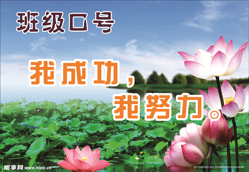 荷花