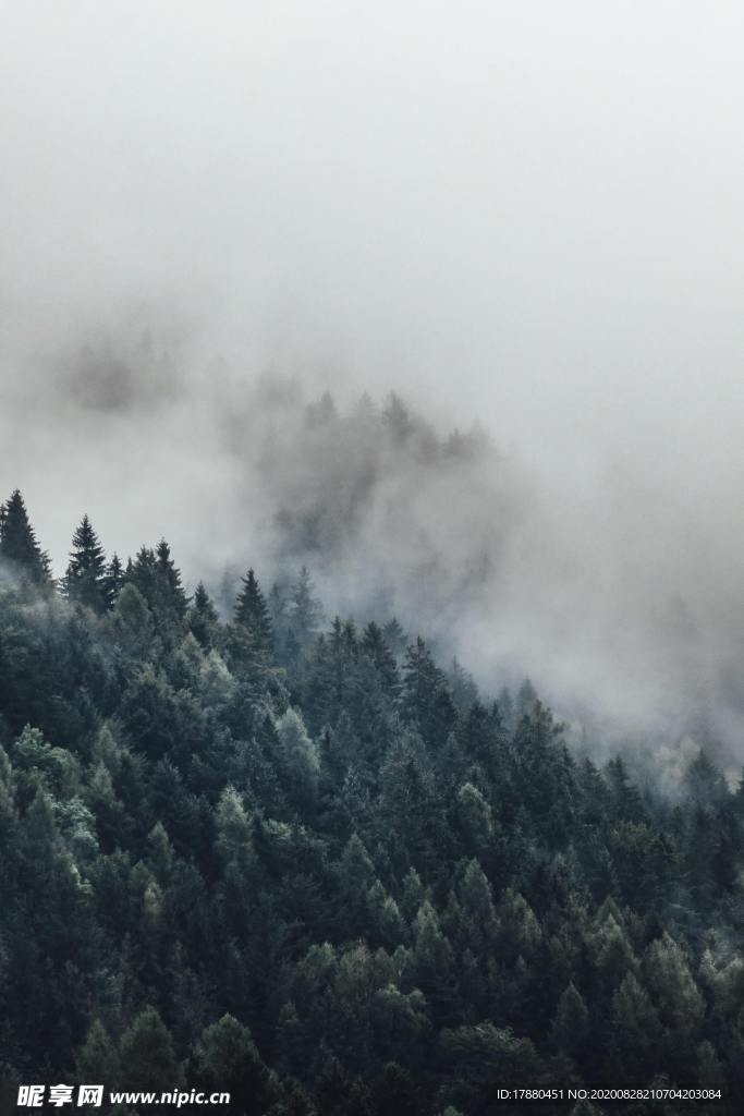 山林