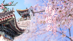 七夕海报