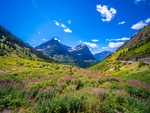 山水风景