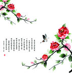 牡丹 蝴蝶 鸟