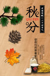 秋分海报