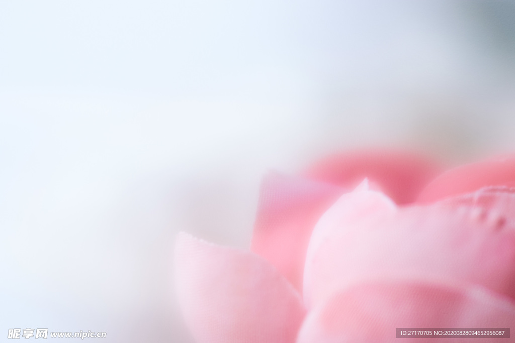 花瓣