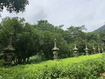 杭州风景