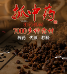 抓中药