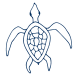 手绘海洋生物