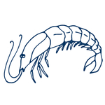 手绘海洋生物