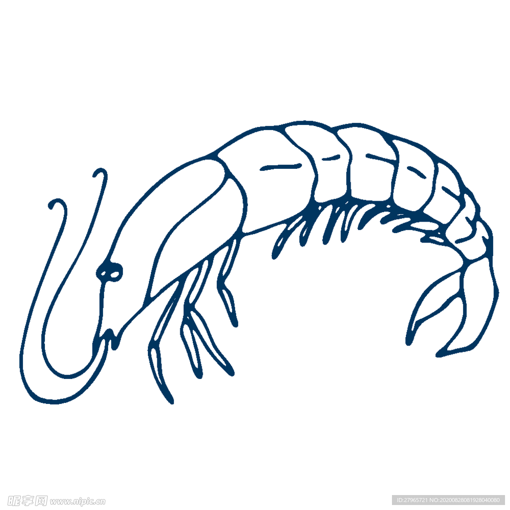 手绘海洋生物