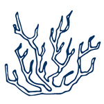 手绘海洋生物