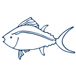 手绘海洋生物