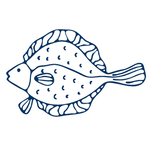 手绘海洋生物