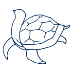 手绘海洋生物