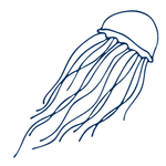 手绘海洋生物