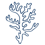 手绘海洋生物