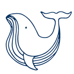 手绘海洋生物