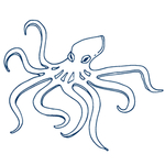手绘海洋生物