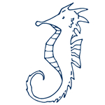 手绘海洋生物