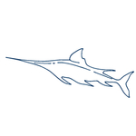 手绘海洋生物