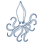 手绘海洋生物