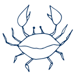 手绘海洋生物