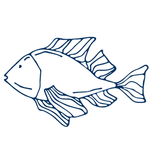 手绘海洋生物