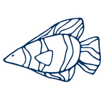 手绘海洋生物