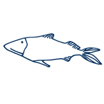 手绘海洋生物
