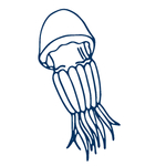 手绘海洋生物