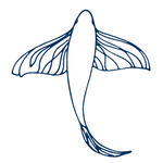 手绘海洋生物