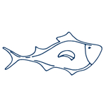 手绘海洋生物