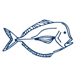 手绘海洋生物