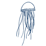 手绘海洋生物