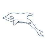 手绘海洋生物